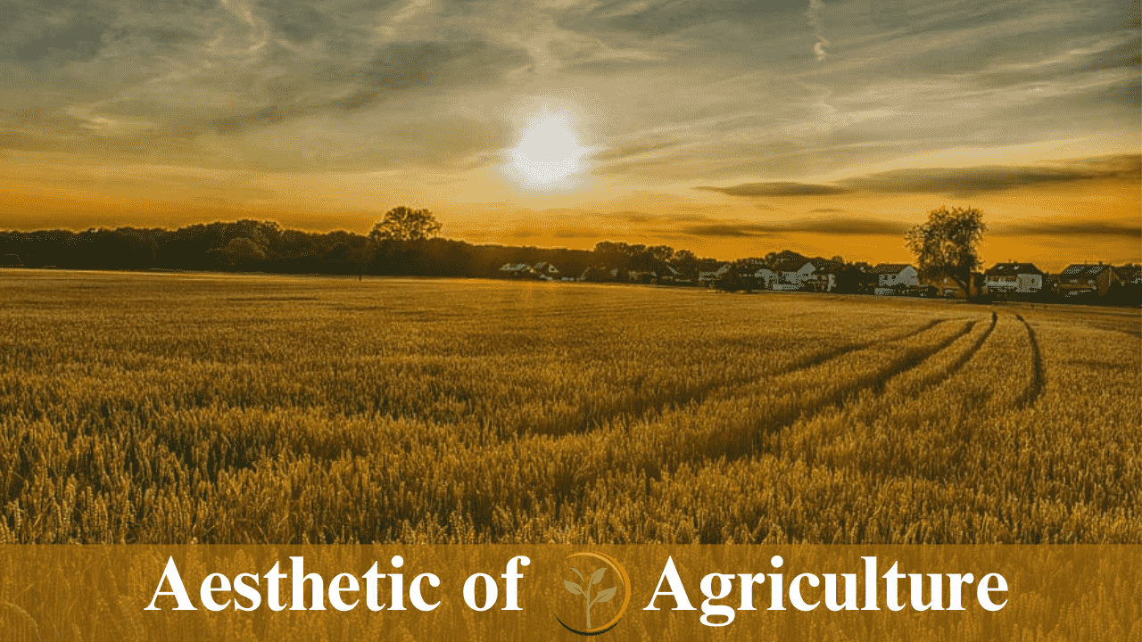 Aesthetic of agriculture what is agriculture?